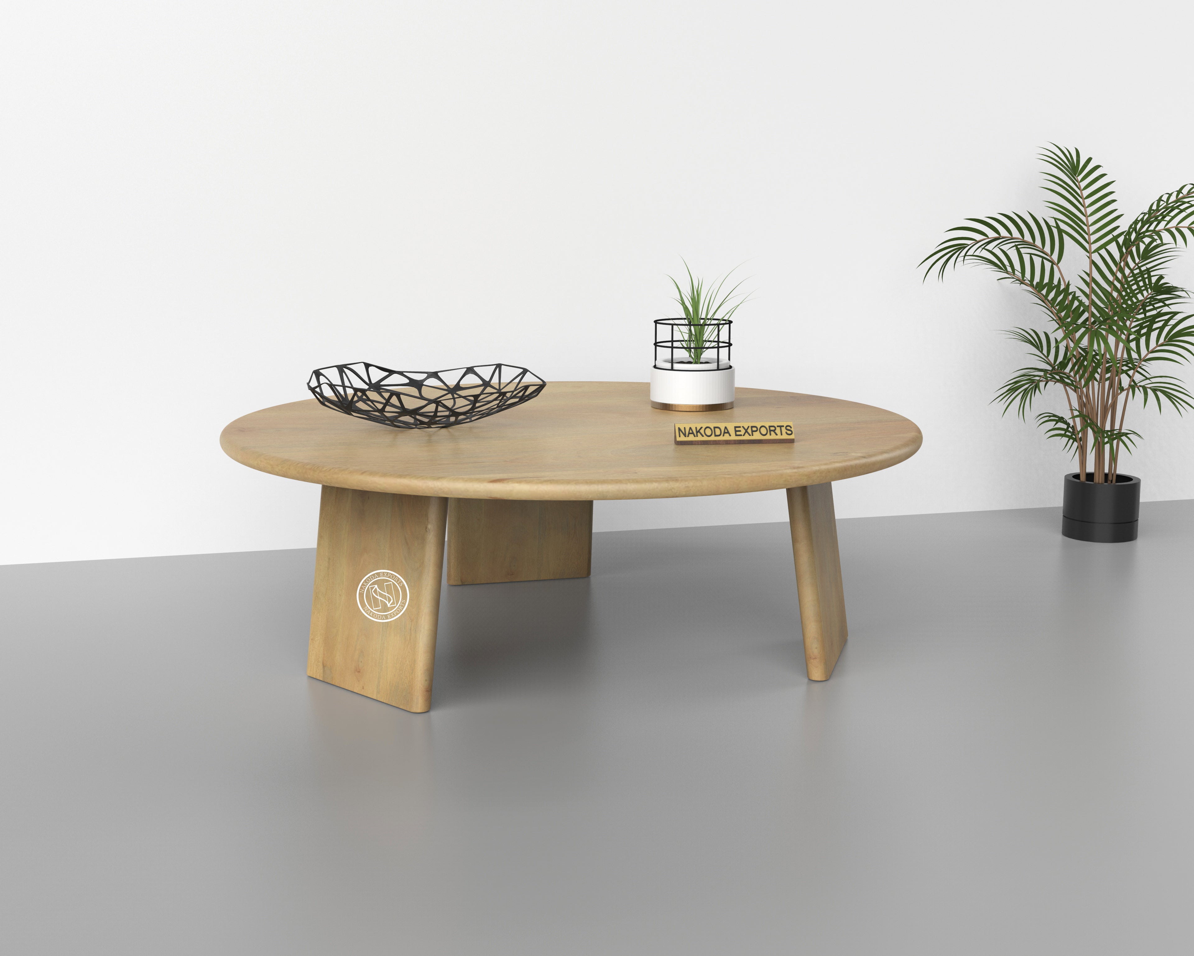 Oval Modern Coffee Table