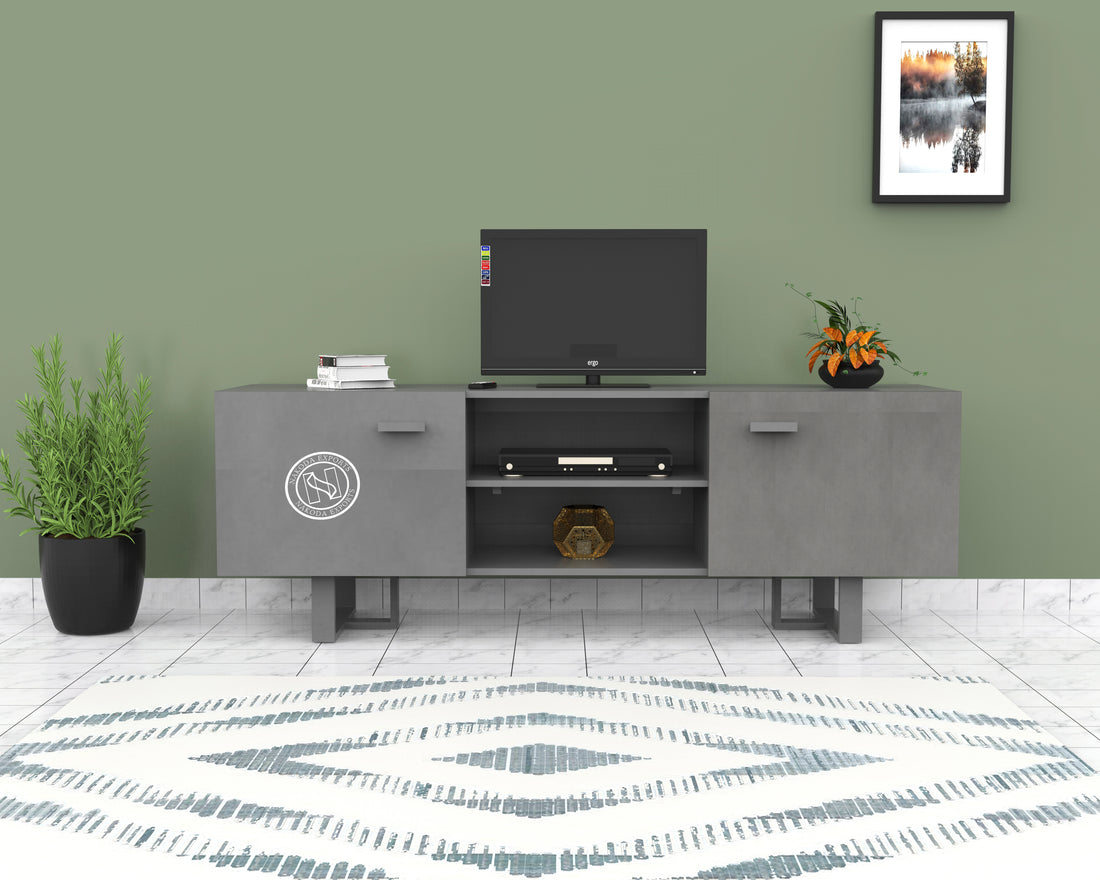 Modern Grey TV Console with Storage