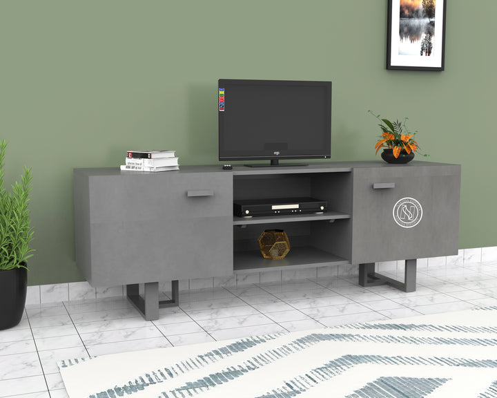 Modern Grey TV Console with Storage